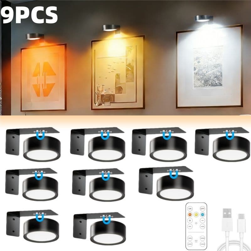 Dimmable Picture Lights Set