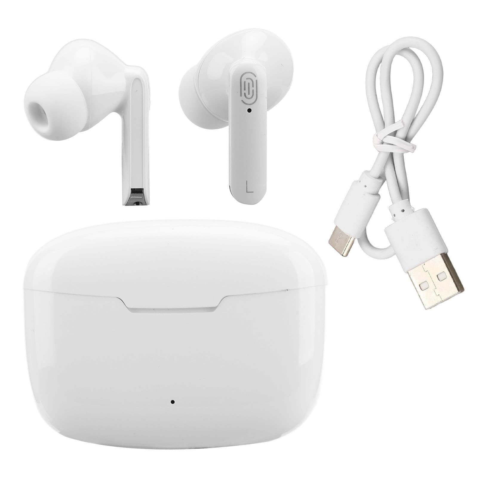 Real-Time Translator Earbuds