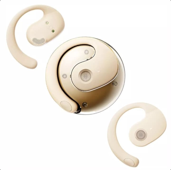 Real Time Translation Earbuds