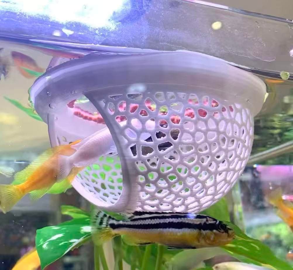 Betta Fish Hammock Bed Set