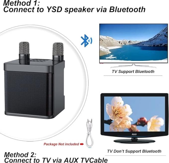 Wireless Bluetooth Karaoke Machine