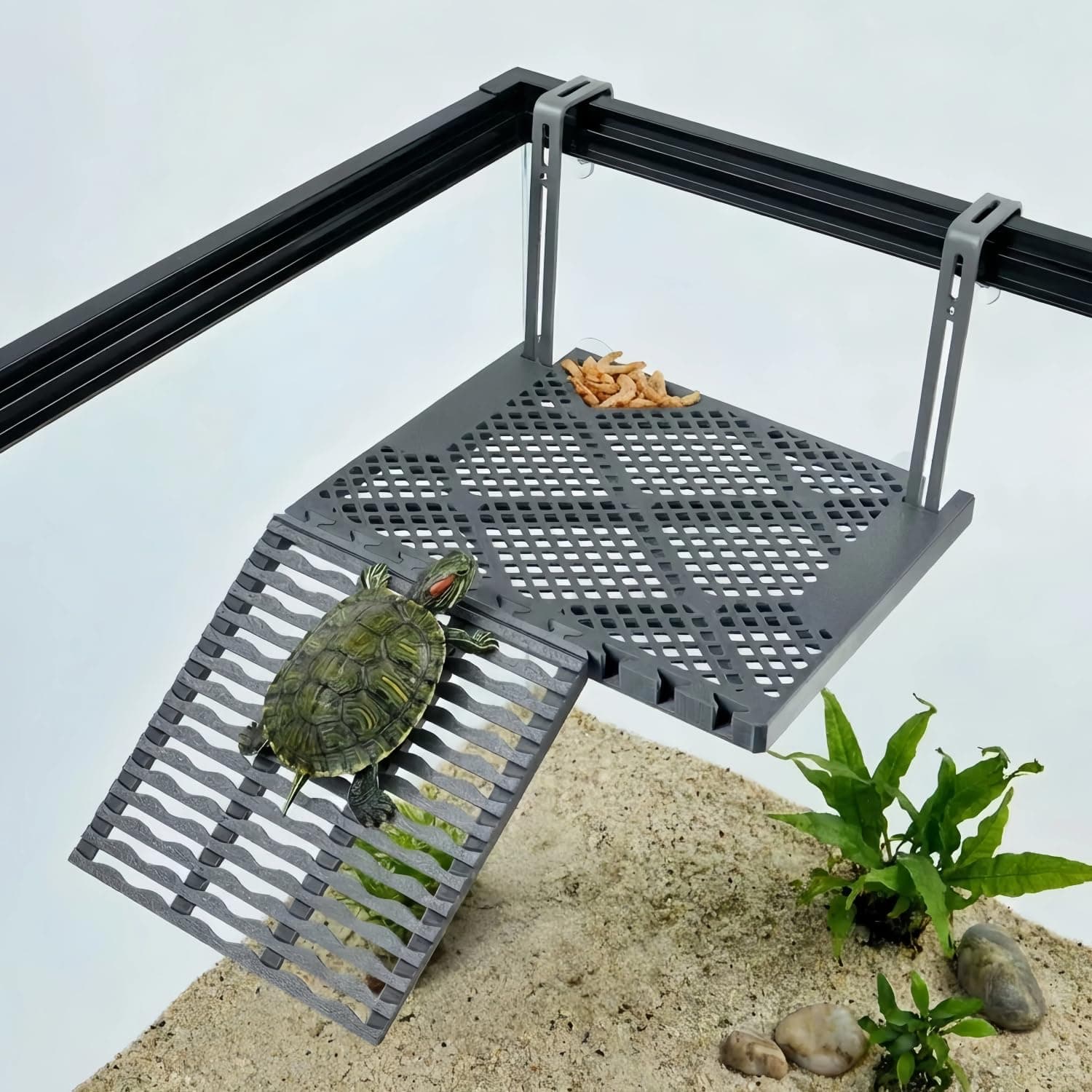 Turtle Basking Platform Dock