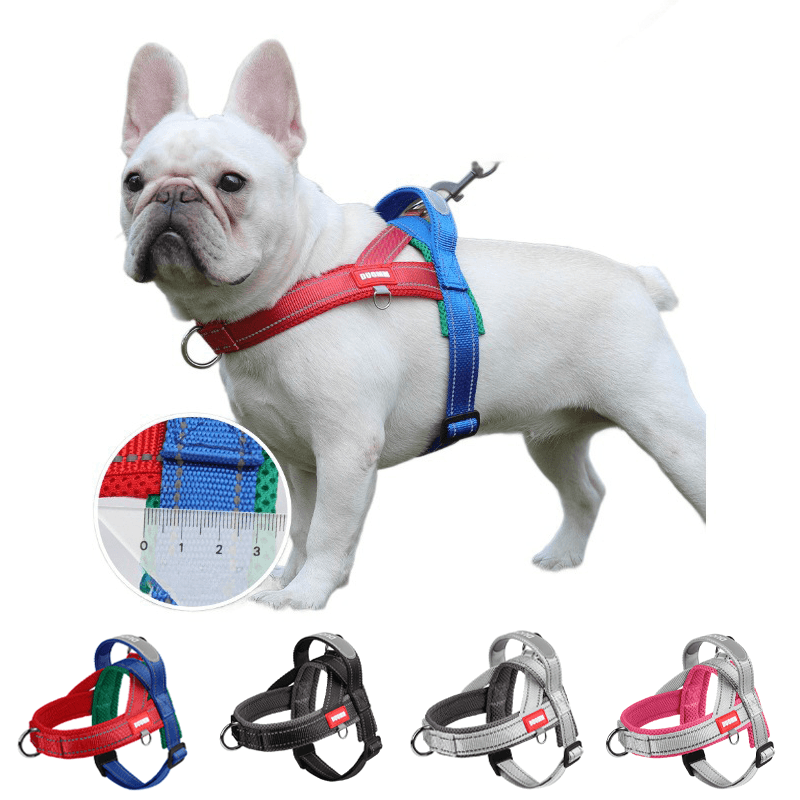 No-Pull Dog Harness System