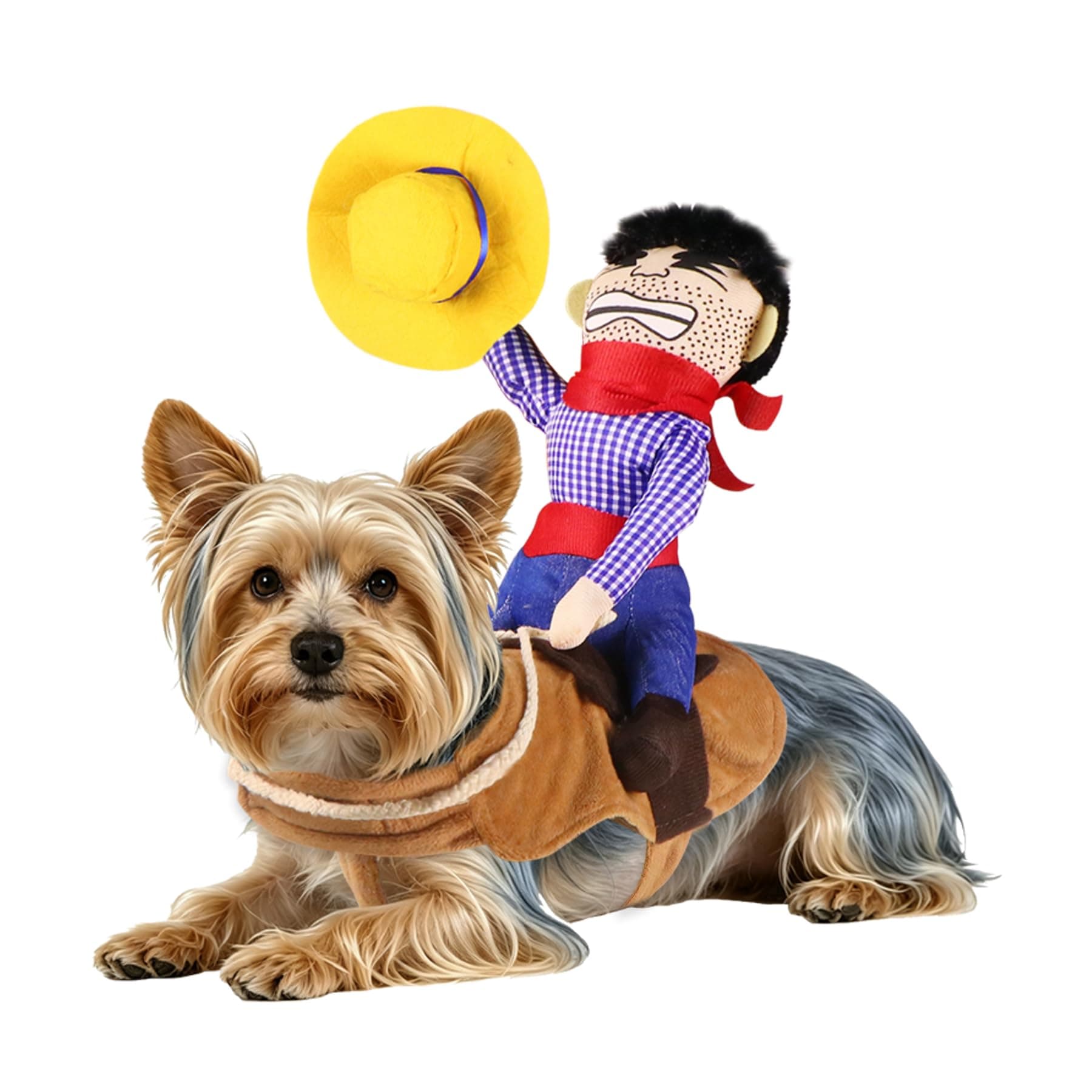 Funny Dog Cowboy Rider Costume