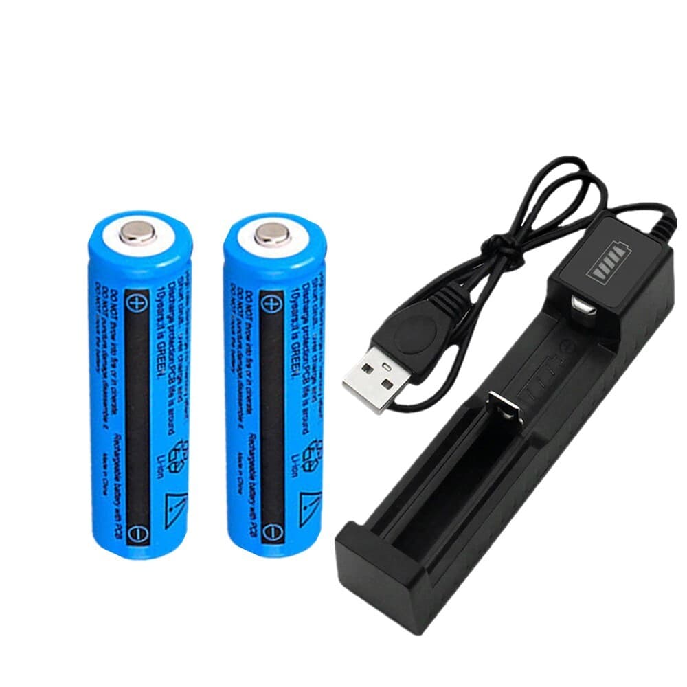 Rechargeable USB Battery Charger