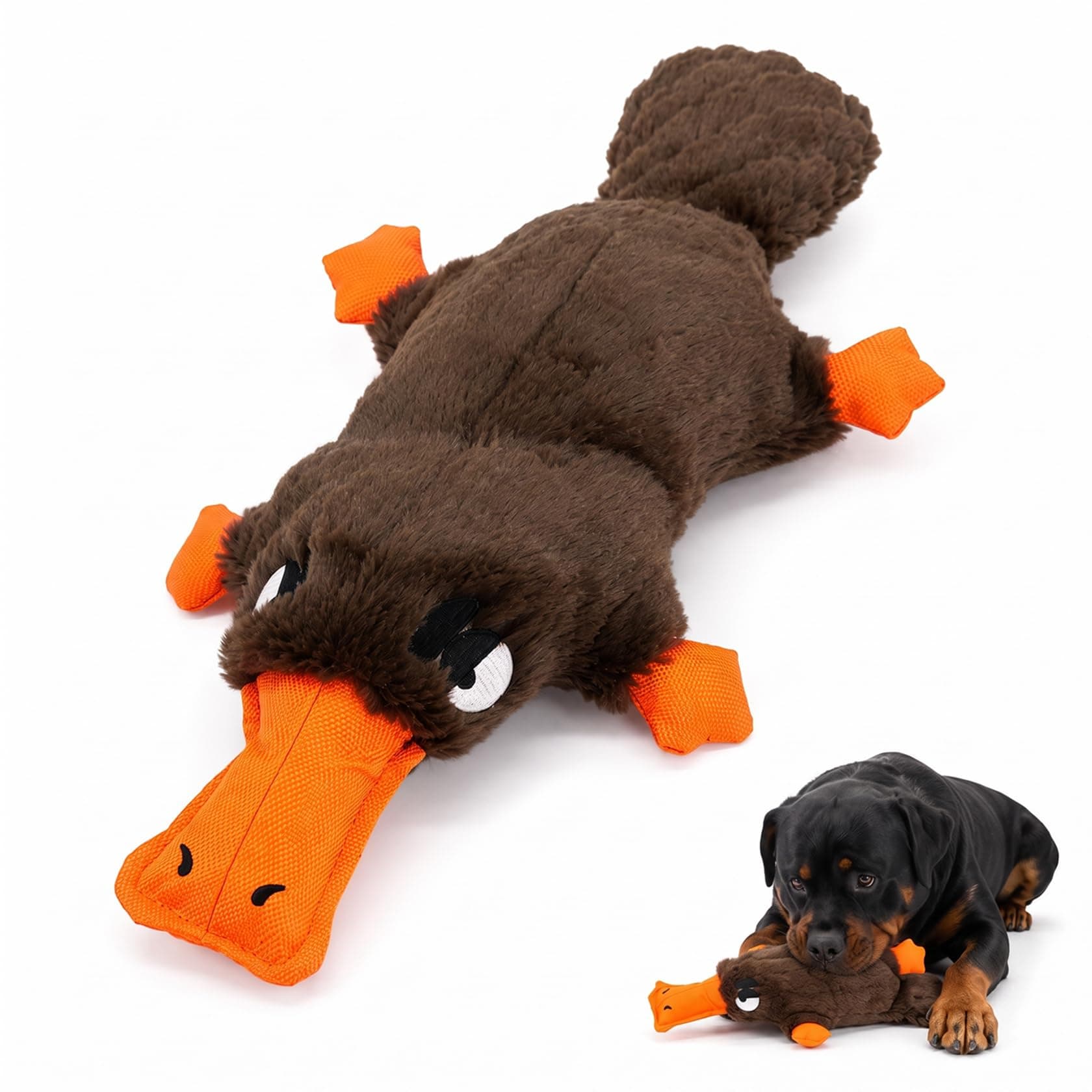 Squeaky Plush Dog Toy