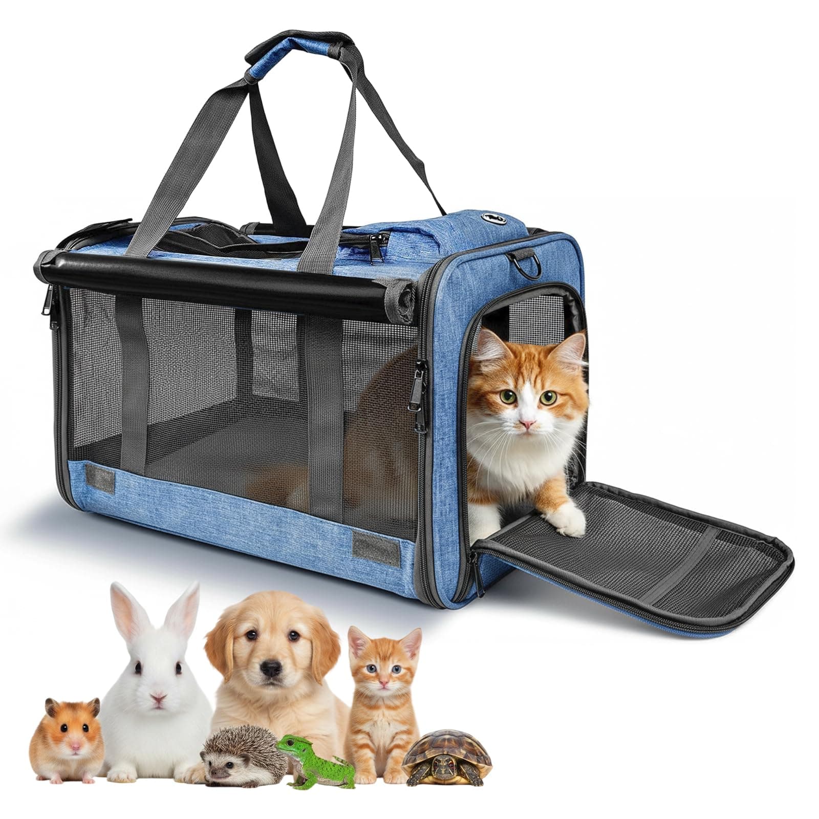 Soft-Sided Large Pet Carrier