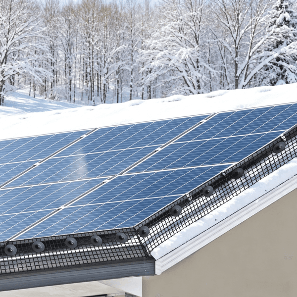 Solar Panel Bird Guard Kit