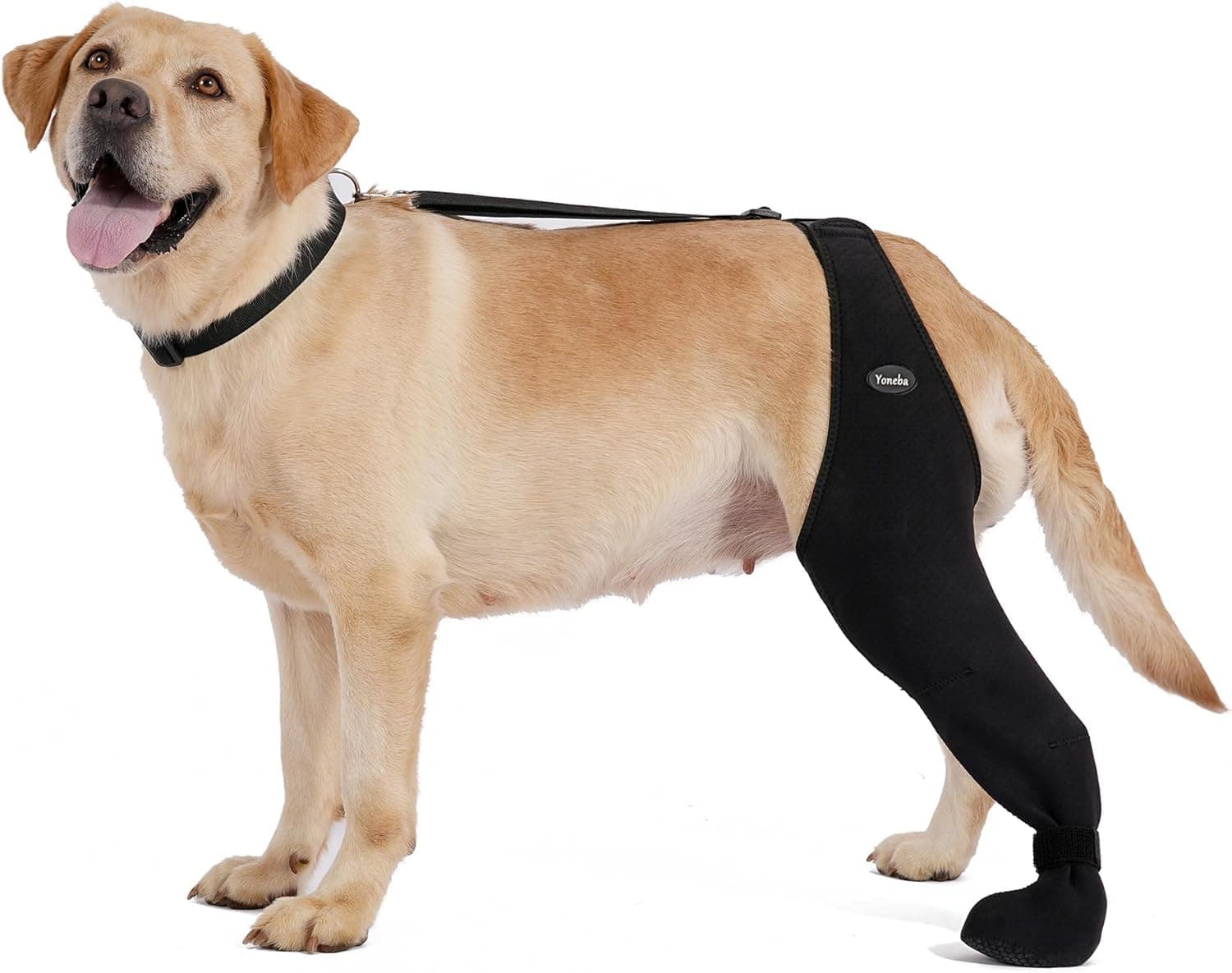 Dog Recovery Paw Protection Socks