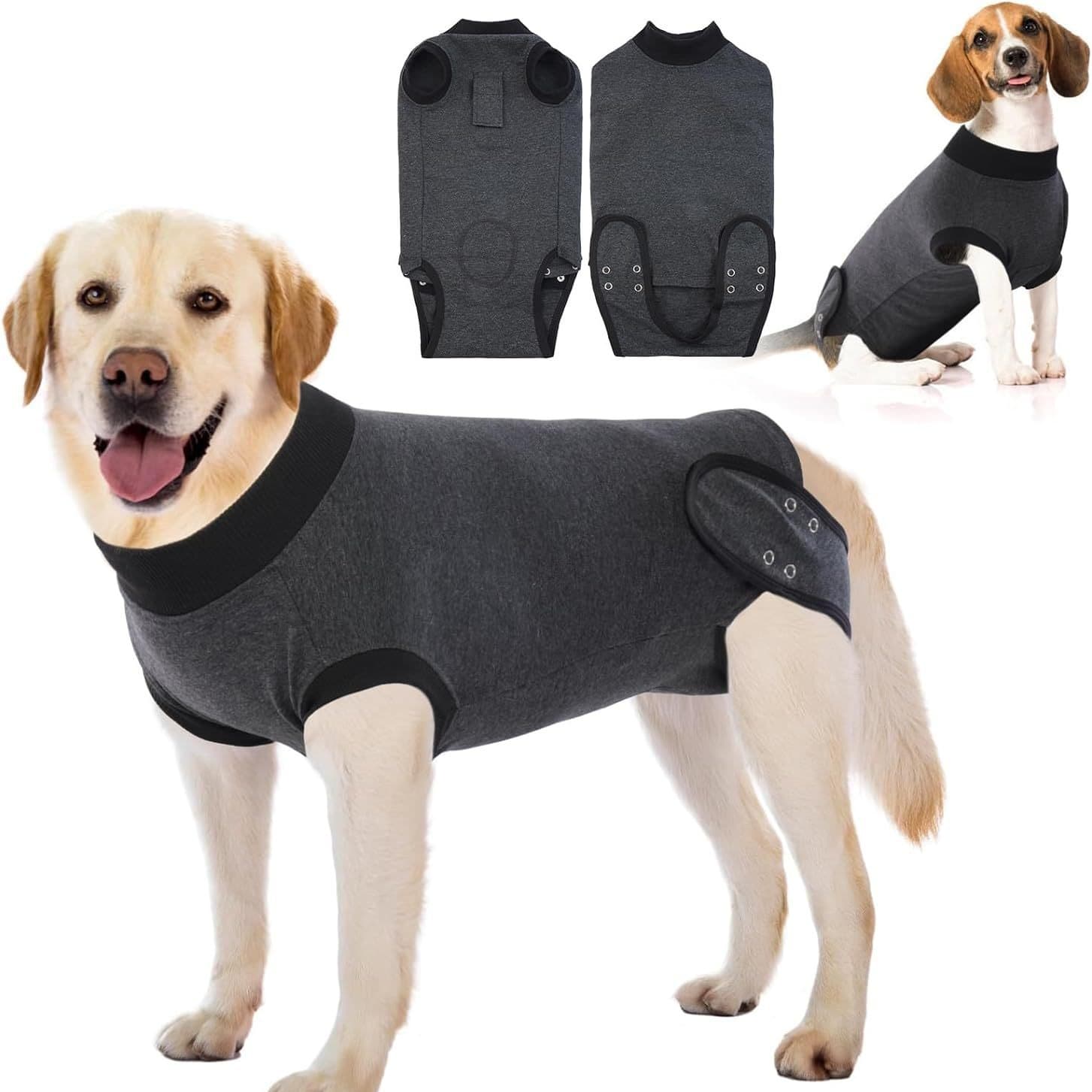 Dog Surgical Recovery Bodysuit
